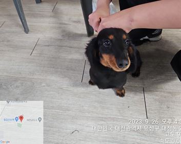 대전동물보호센터_430367202300574